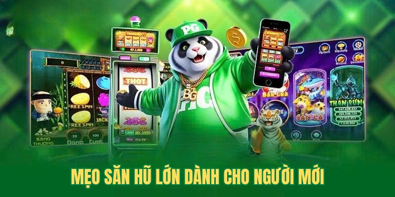 Mẹo săn hũ lớn dành cho người mới