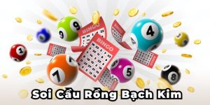 soi cầu rồng bạch kim