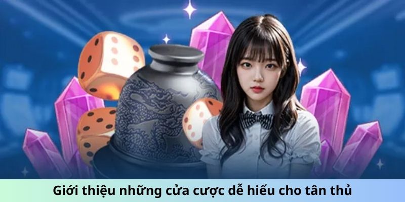 Giới thiệu những cửa cược dễ hiểu cho tân thủ